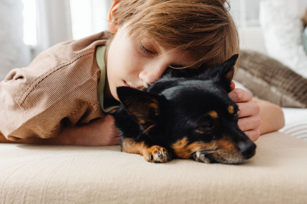 Ein Junge kuschelt mit seinem kranken Hund auf einem weichen Bett
